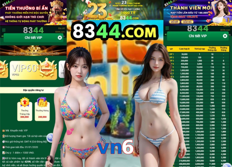 vn6
